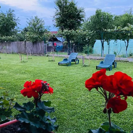 Serenity Garden Guest house Runcu (Gorj)