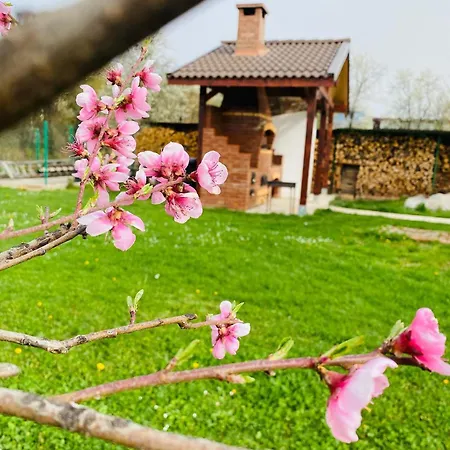 Serenity Garden Runcu (Gorj)