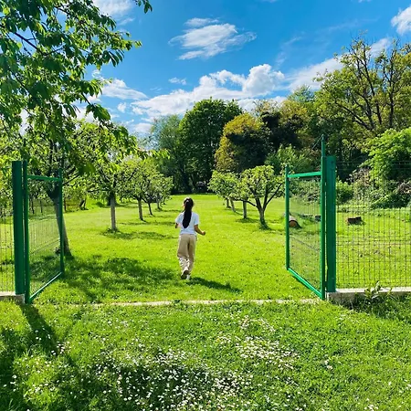 Serenity Garden *