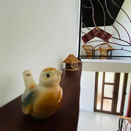 Serenity Garden Guest house *