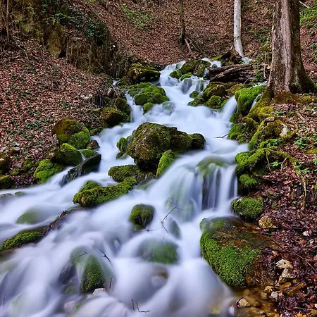 Guest house Serenity Garden Runcu (Gorj)
